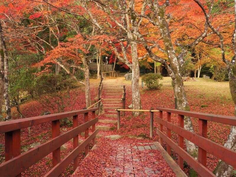 Yumoto Ueyama Ryokan Himedži Exteriér fotografie