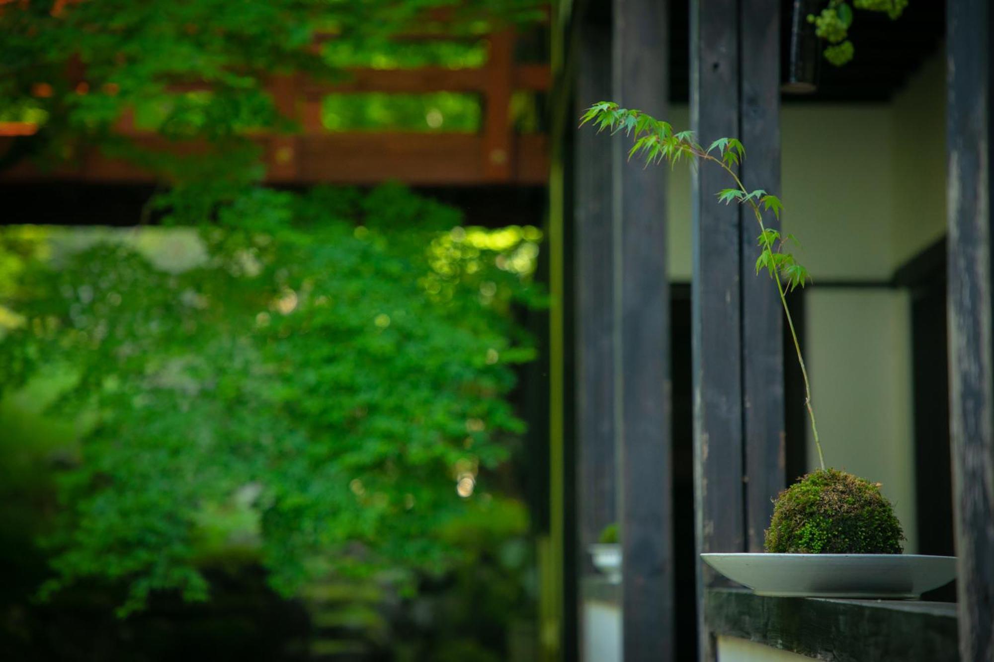 Yumoto Ueyama Ryokan Himedži Exteriér fotografie